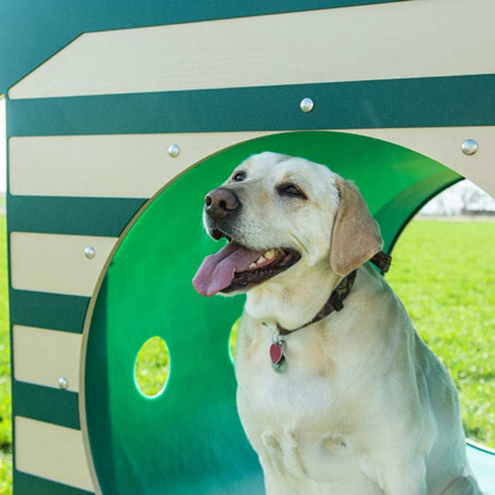 Recycled Crawl Tunnel w/ Dog House
