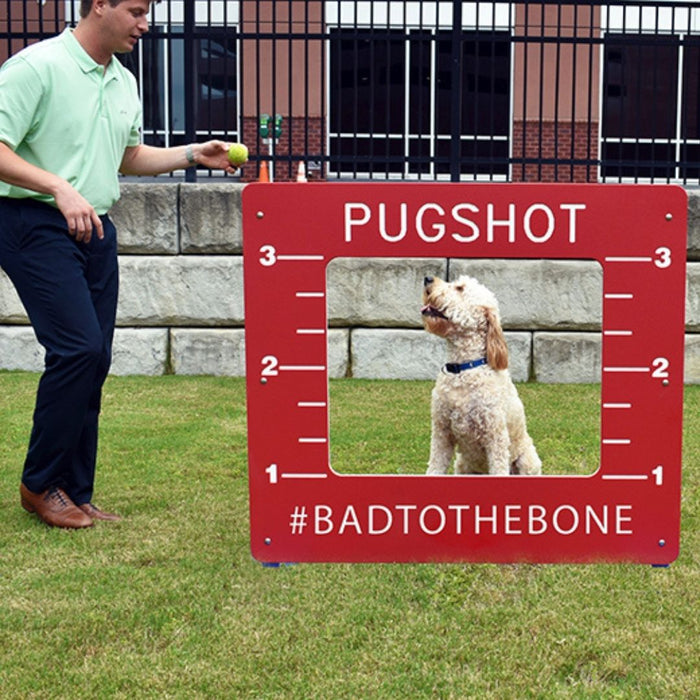 Pug Shot